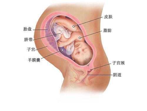 泰国输卵管堵塞不孕_卵巢性不孕咨询_泰国免疫性不孕检查_左侧卵巢性包块_五